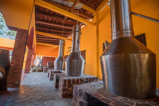 Private City tour & tequila tasting - Marina Vallarta is a quick final look