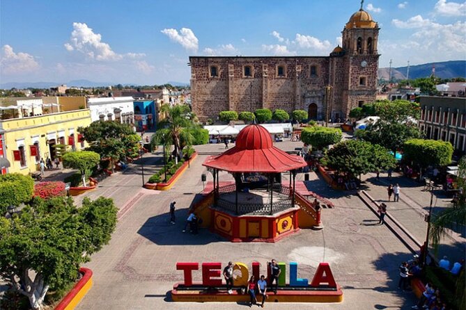 Private Day Adventure Tour in Tequila and visit to the Castle of Tequila - Agave fields and the wider Jalisco setting
