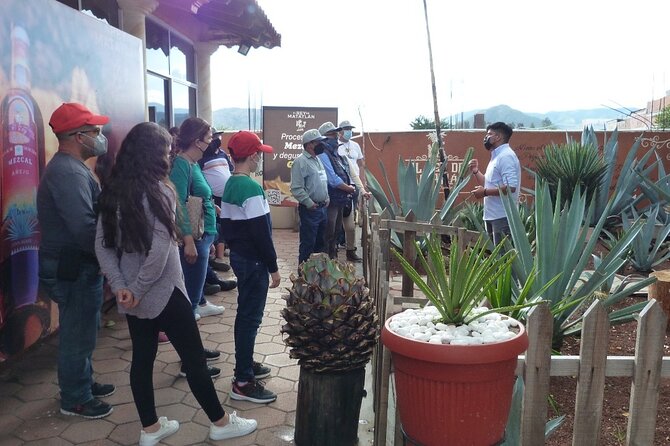 Private Family Tour visitng Mitla, Mezcal Factory, HIerve el Agua - What the $295 price really buys