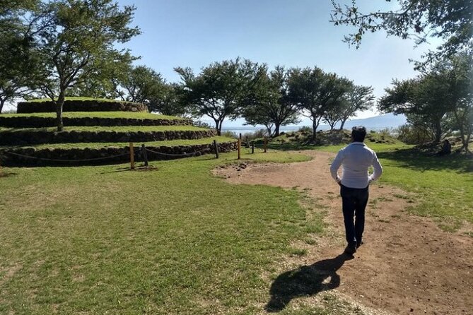 Private Full-Day Tour to Tequila and Guachimontones - Agave fields and the road back