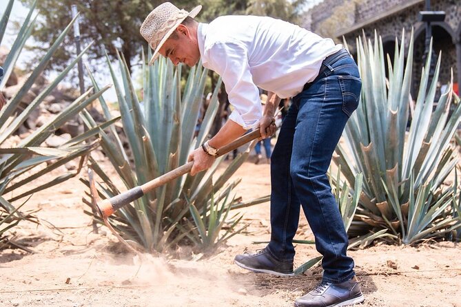 Private Full-Day Tour to Tequila Visiting El Castillo de Tequila - Is the private format good value?