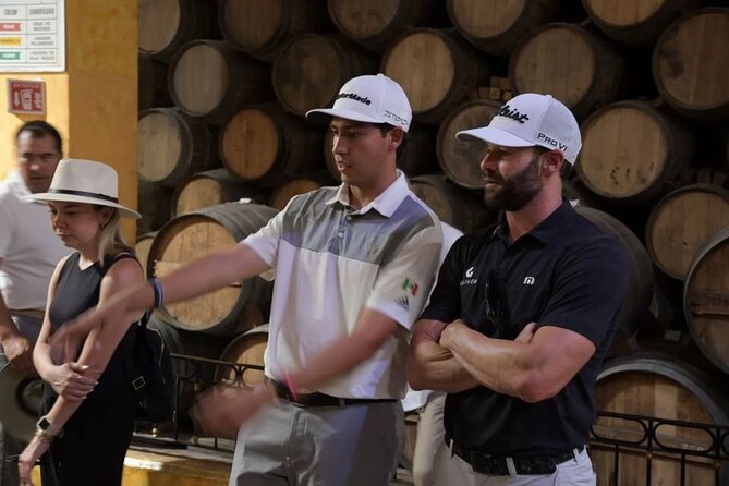 Private Full-Day Tour to Tequila Visiting Tequilera José Cuervo - Mirador Tequila and the extreme swing
