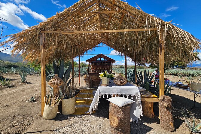 Private Lunch in Mezcal Maguey Fields - Key Things to Know Before Booking