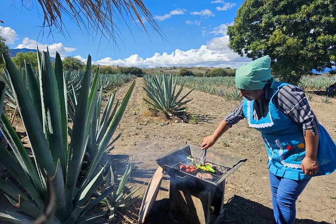 Private Lunch in Mezcal Maguey Fields - Walking Through the Maguey Fields