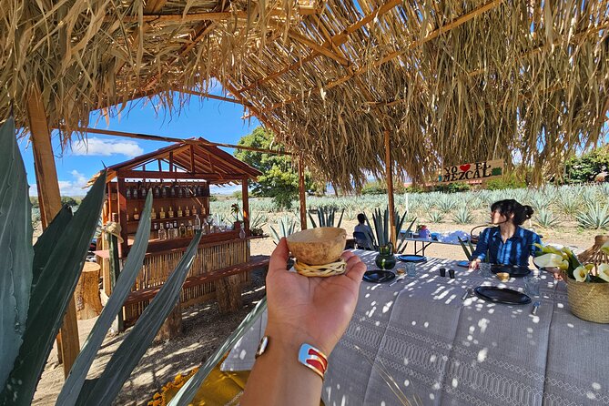 Private Lunch in Mezcal Maguey Fields - Who Will Enjoy This Afternoon Most?