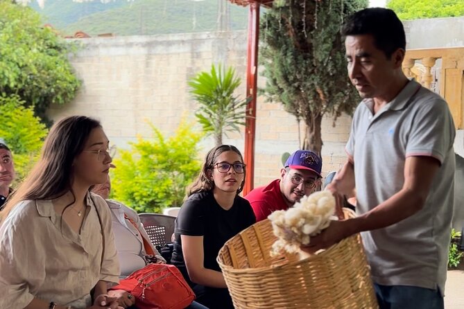 Private Monte Alban VIP : Mezcal and Zapoteco Art - Why this Oaxaca day works well