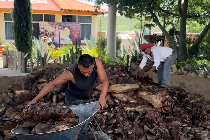 Private Monte Alban VIP : Mezcal and Zapoteco Art - Teotitlán del Valle and the work behind the souvenirs
