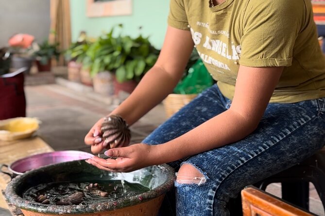 Private Monte Alban VIP : Mezcal and Zapoteco Art - From Oaxaca City to the Zapotec capital