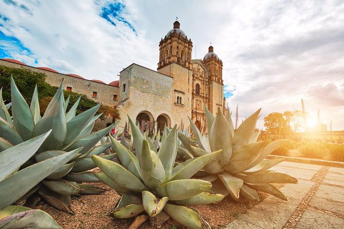 Private Oaxaca Walking Tour with Mezcal Tasting - Mercado Benito Juárez: the most everyday stop