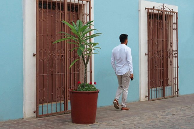 Private Oaxaca Walking Tour with Mezcal Tasting - Oaxaca Cathedral and the central religious quarter