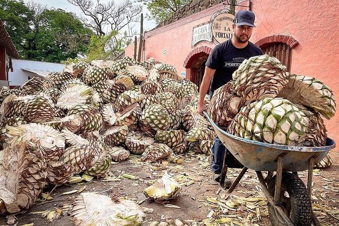 Private One Day Adventure Tour in Tequila and La Fortaleza Distillery - What This Guadalajara Tequila Tour Really Is