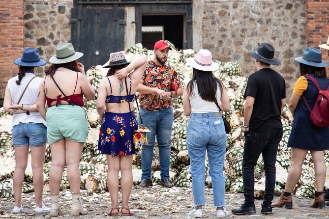 Private One Day Adventure Tour in Tequila and La Fortaleza Distillery - Why Private Transport Makes a Difference