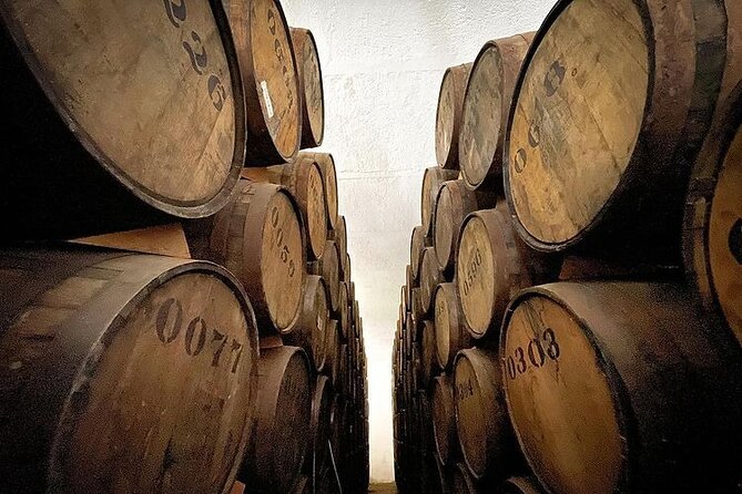 Private One Day Adventure Tour in Tequila and La Fortaleza Distillery - Who Will Enjoy This Day Most
