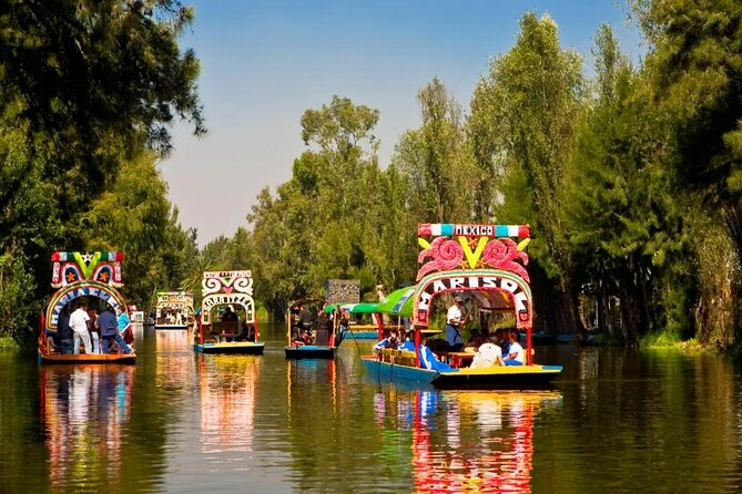 Private Tequila Craft Beer Tasting - Mexico City Floating Gardens - Key points to know before booking