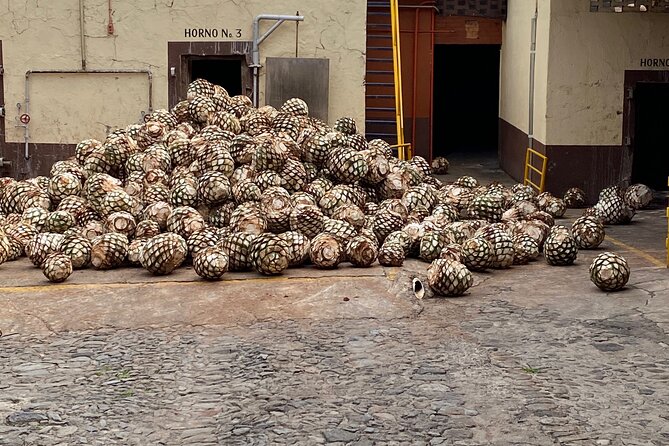 Private Tequila Tour - Tequila Cascahuin: a family producer with working details