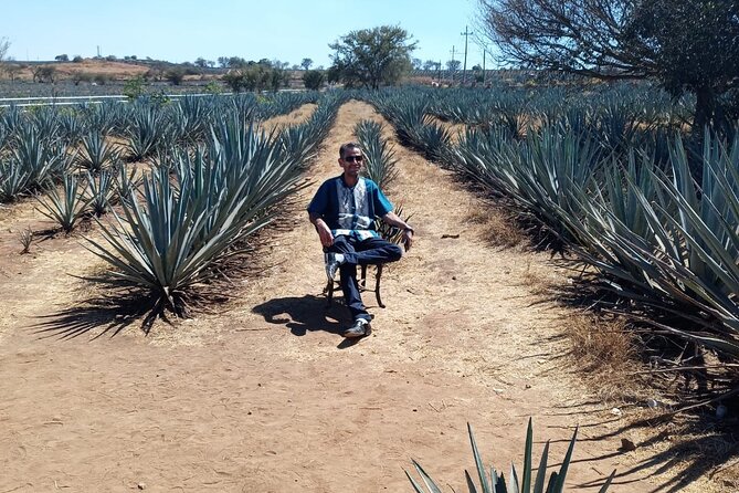 Private Tequila Tour in Guadalajara - Barrel cabins and the underground restaurant