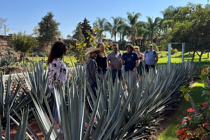 Private Tequila Tour with Local Expert - Why a private Tequila Route day works well