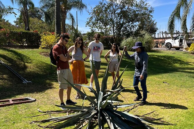 Private Tequila Tour with Local Expert - Casa Marengo and the appeal of family production