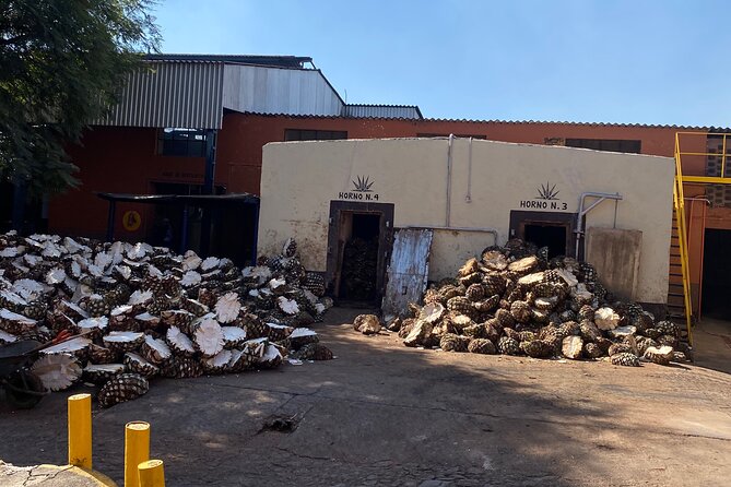 Private Tequila Tour - Amatitan: compare methods at a smaller distillery