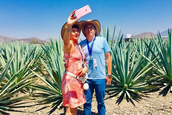 Private Tour, all inclusive: Tlacochahuaya, Mezcal, Teotitlán del Valle - Pantaleón Ruiz’s studio and Oaxaca’s modern art scene