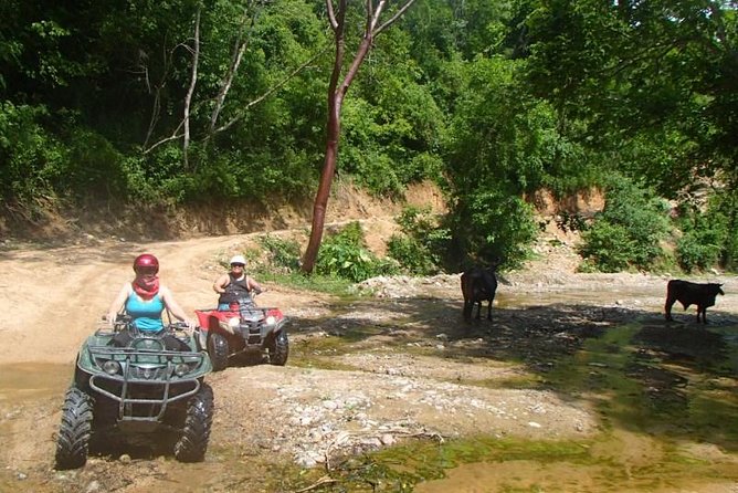 Private Tour: ATV SIERRA MADRE rivers with Tequila Tasting - Rancho Las Vegas and lunch beside the river