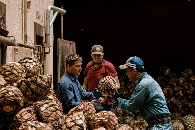 Private Tour Cascahuin Distillery and visit to Tequila - Cascahuín shows the craft in close detail