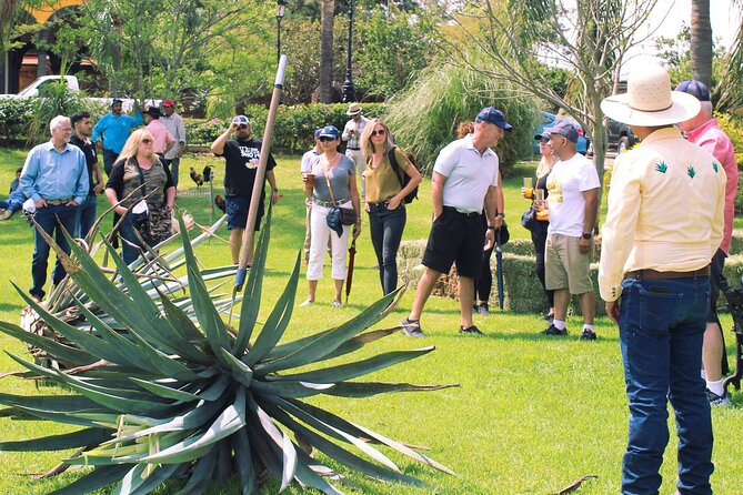 Private Tour La Fortaleza Distillery and visit to Tequila - Cantaritos El Güero brings the festive finish