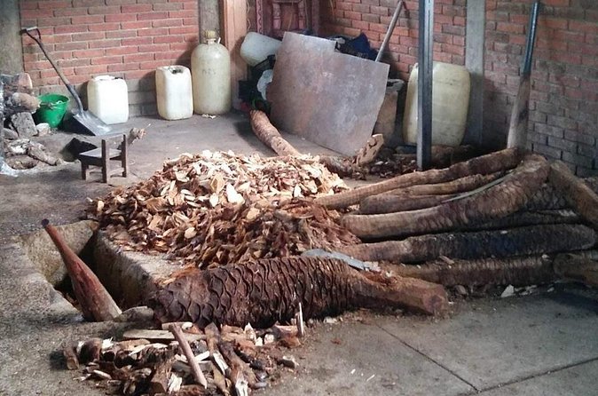 Private tour Mitla, Weavers town, Mezcal and Boil the water - Mitla: Oaxaca’s city of the dead
