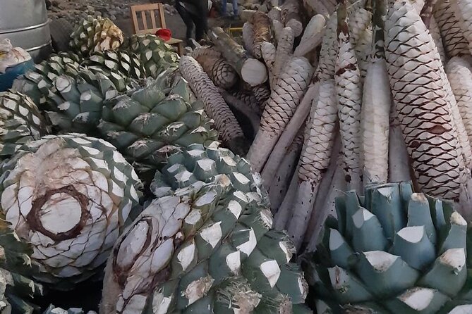 Private tour Mitla, Weavers town, Mezcal and Boil the water - Teotitlán del Valle and the skill behind Zapotec weaving