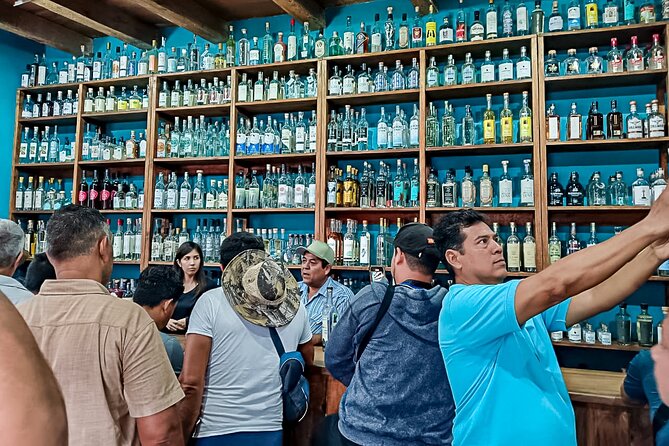 Private Tour New Raicilla Route to Mascota from Puerto Vallarta - Is $539.99 good value for up to four?