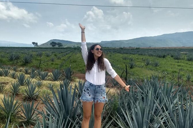 Private Tour of Magic Town Tequila Adventure Day Tour - Key points at a glance