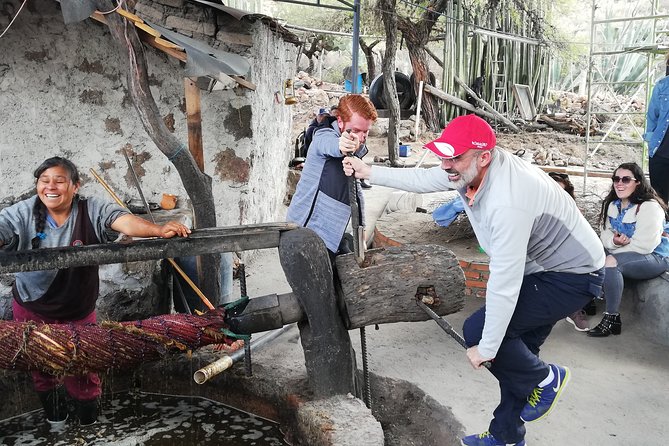 Private Tour of the Mezcal Route with Ancestral Drinks - Five good reasons to take this mezcal outing