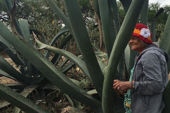 Private Tour of the Mezcal Route with Ancestral Drinks - Miguel and the value of a private guide