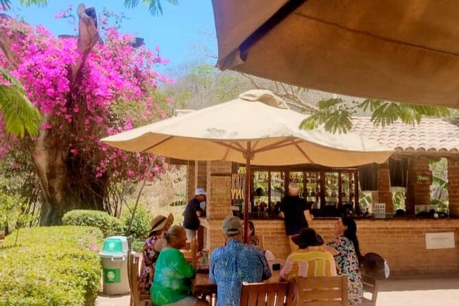 Private Tour to El Quelite Village and Tequila Distillery from Mazatlan - La Vinata and the blue agave fields