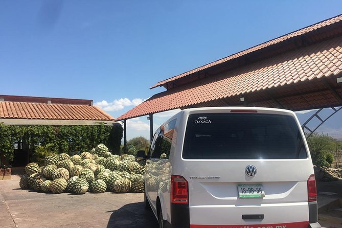 Private Tour to Hierve el Agua, Mezcal Tasting, and Textiles - Who will get the most from this tour?