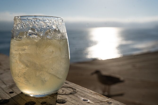 Puerto Nuevo Lobster and Tequila Tour - Who will enjoy this Baja day most?