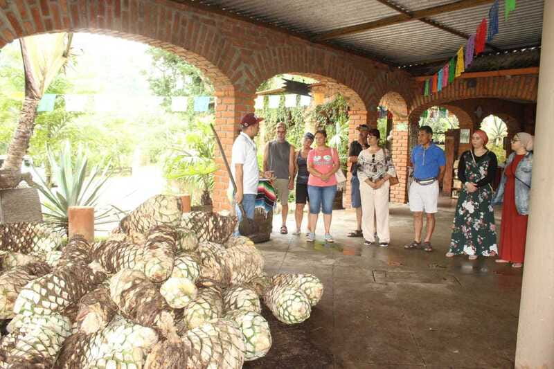 Puerto Vallarta: City Tour, Tequila and Coffee Factory Tour - A useful first day in Puerto Vallarta
