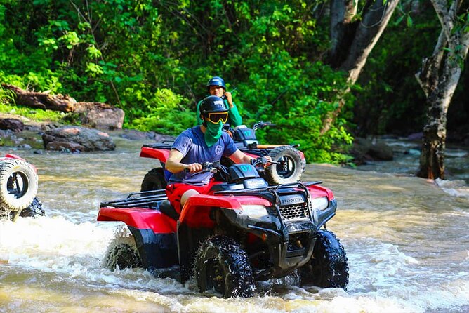 Puerto Vallarta Jungle Tour or RZR + Tequila - The jungle road, climbs, and drops