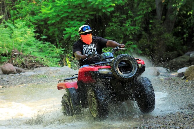 Puerto Vallarta Jungle Tour or RZR + Tequila - Rancho Las Vegas: food, water, and a hammock