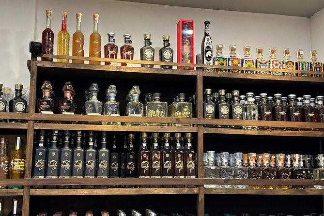 San Jose del Cabo Tequila, Mezcal and Mixology Class - Key points at a glance