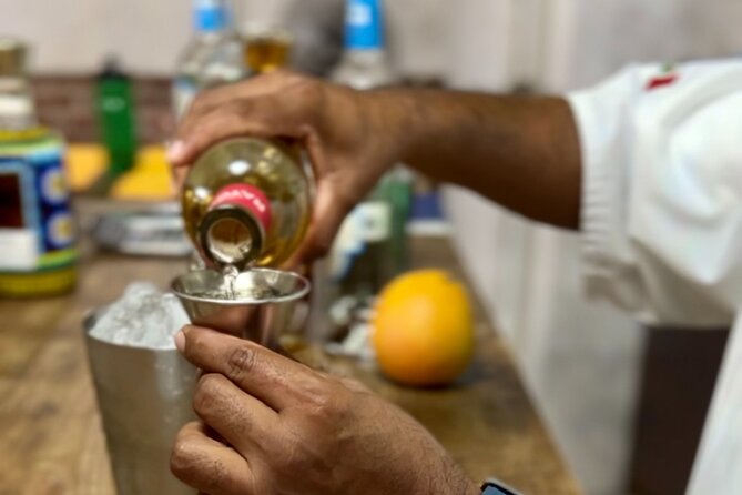 San Jose del Cabo Tequila, Mezcal and Mixology Class - Who should book this San José del Cabo class?