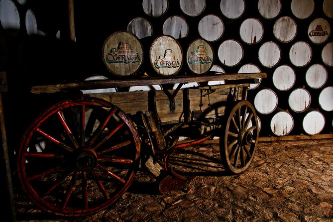 Sip & Savor Tequila Experience Distillery w/ Lunch fr Guadalajara - Why this tequila day trip works