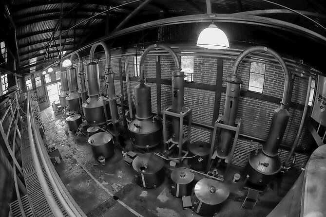 Sip & Savor Tequila Experience Distillery w/ Lunch fr Guadalajara - Who should book this experience?