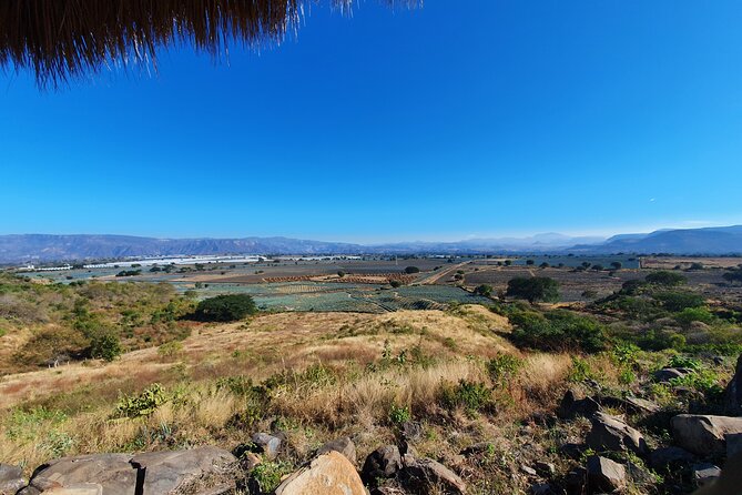 Sip & Savor Tequila Experience Distillery w/ Lunch fr Guadalajara - The Amatitan viewpoint and the Blue Agave Landscape