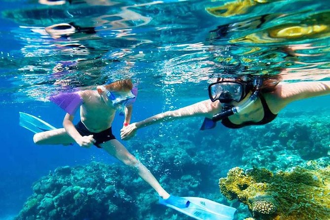 SkyReef Cozumel Snorkel & Tequila Tasting - From the water to a chair under an umbrella