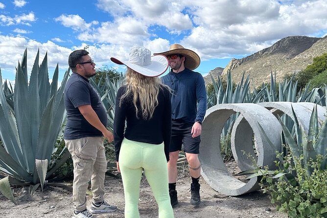 Small Group Boerve del Agua and Mezcal Tour from Oaxaca Centro - Lunch with moles, enchiladas, and local dishes
