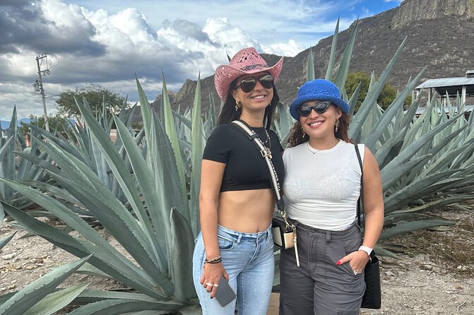 Small Group Boerve del Agua and Mezcal Tour from Oaxaca Centro - The guides make the long drives easier