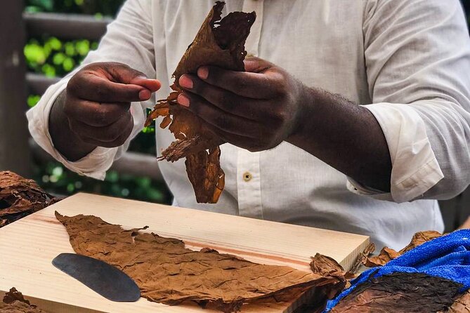 Taste of Mexico: Rolling Cigar & Tequila Experience with transfer - Value depends on what you would pay for separately