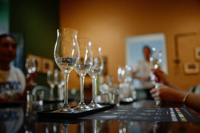 Tasting of Mezcal with the best selling brand in Oaxaca - Learning to judge aroma, flavor, texture, and quality
