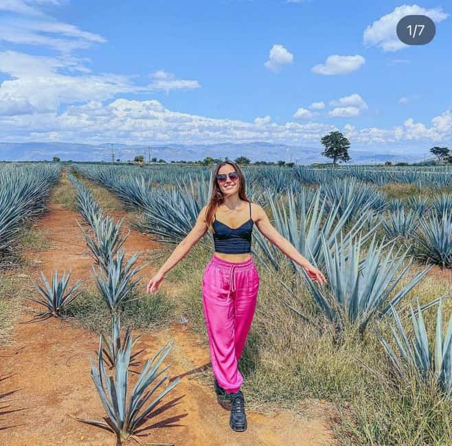 Tequila and Cantaritos Tour from Guadalajara - Key points at a glance